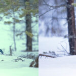 zeiss-sfl-feature-uhd-concept-01.ts-1647444860293